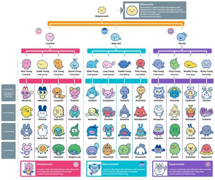5-17 Young Paradise: A Comprehensive Guide to Nurturing Youthful Growth