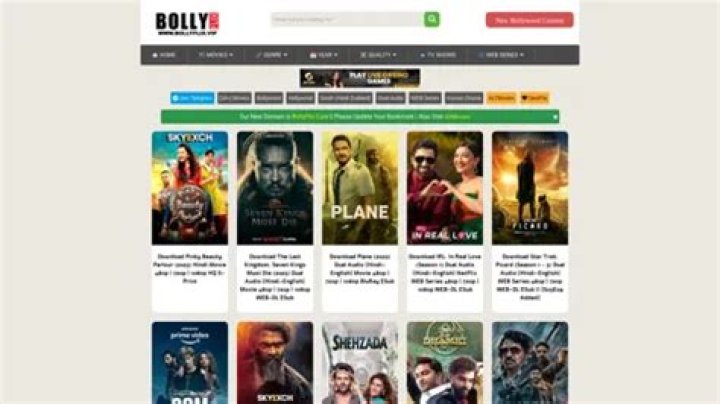 Bollyflix.Africa: Your Ultimate Guide to Indian Cinema in Africa
