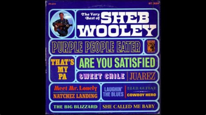 Exploring Sheb Wooley's Net Worth: The Complete Guide