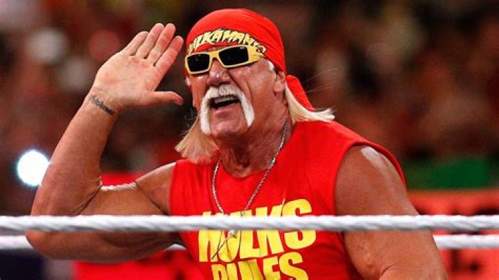Remembering the Legacy of the Wrestler That Died Recently
