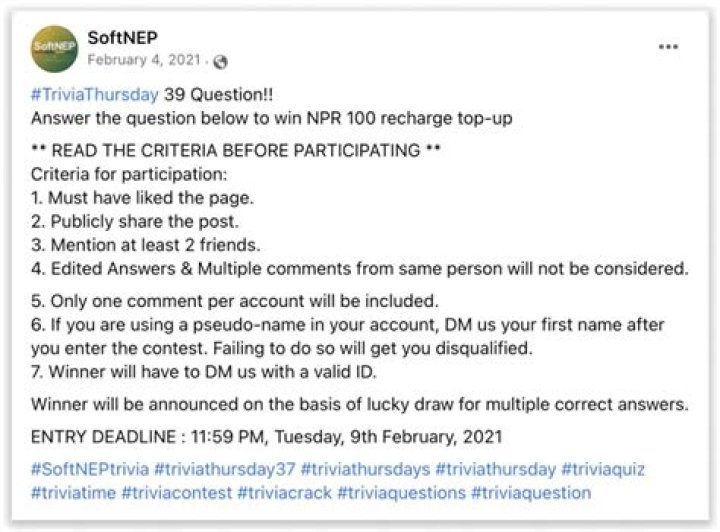 Taylor Holder: The Rise of a Social Media Sensation