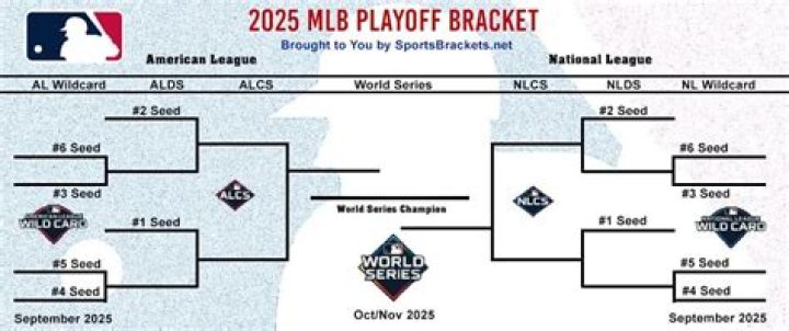 Understanding the Excitement: How Does MLS Playoffs Work?