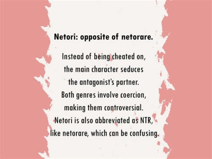 What Does NTR Mean? Understanding Its Meaning, Context, and Significance